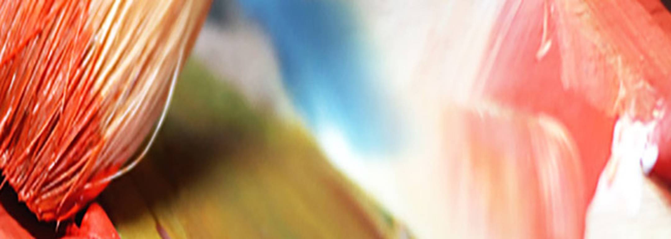Oil Paints