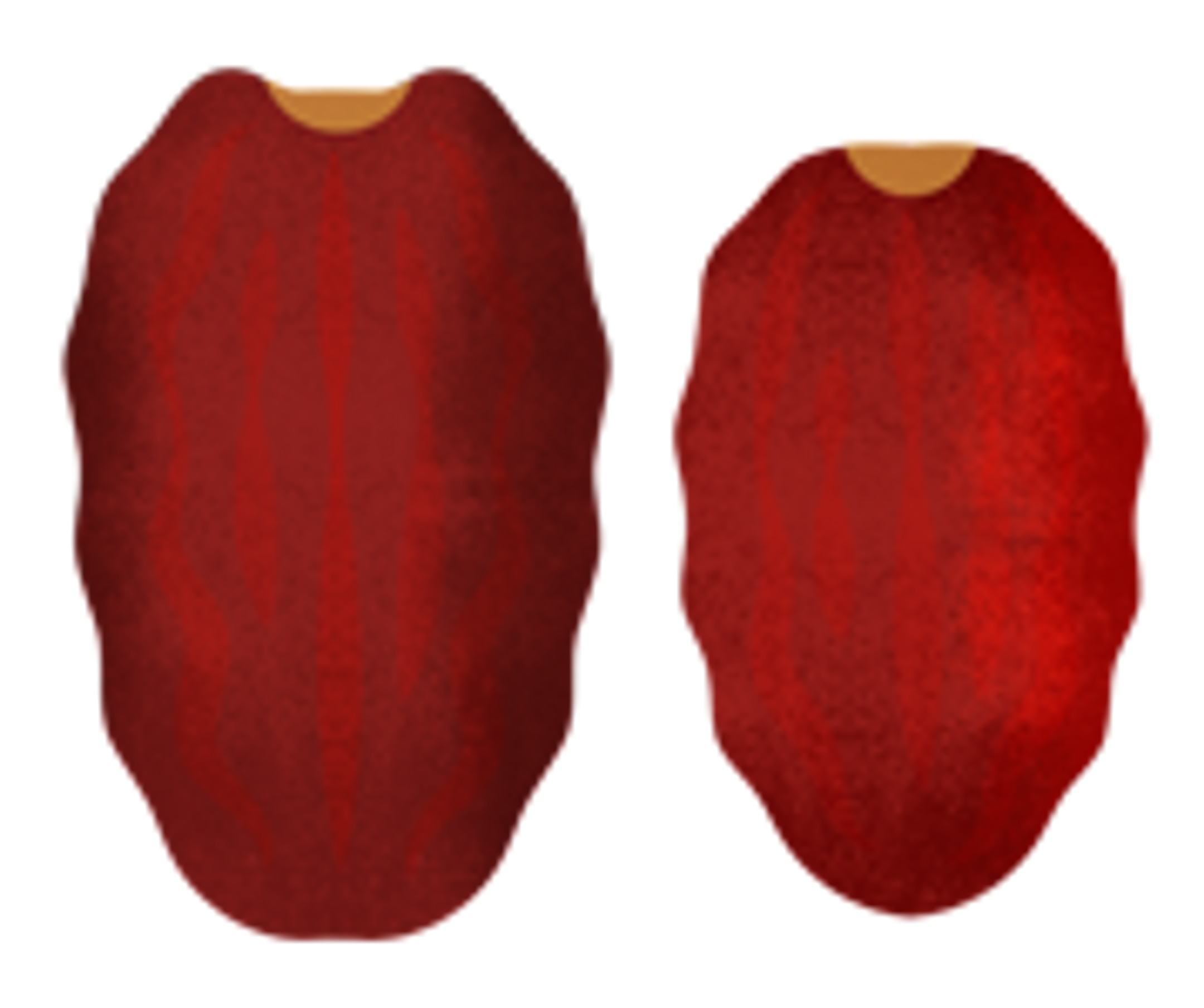 an illustration of dates