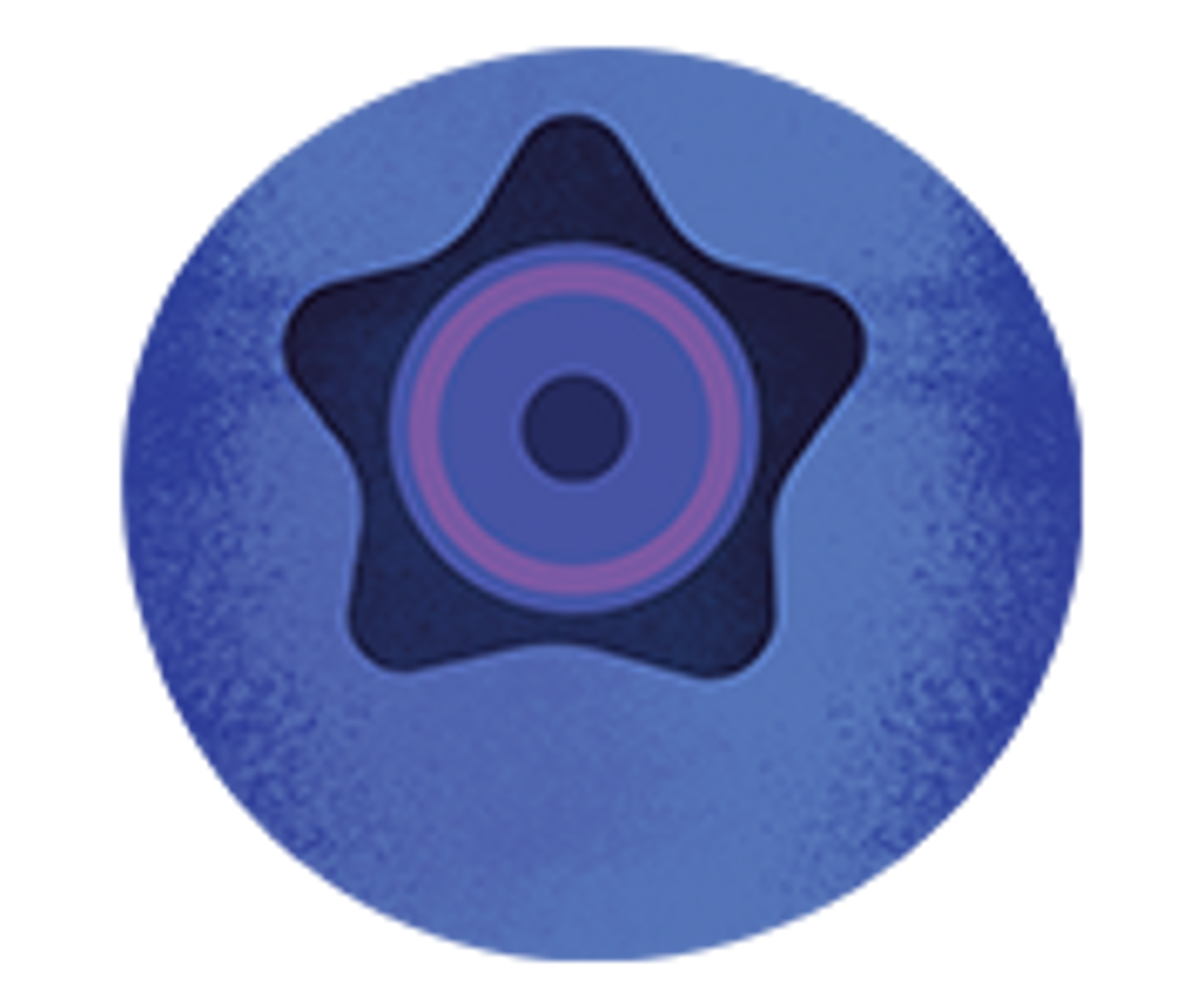 an illustration of a blueberry