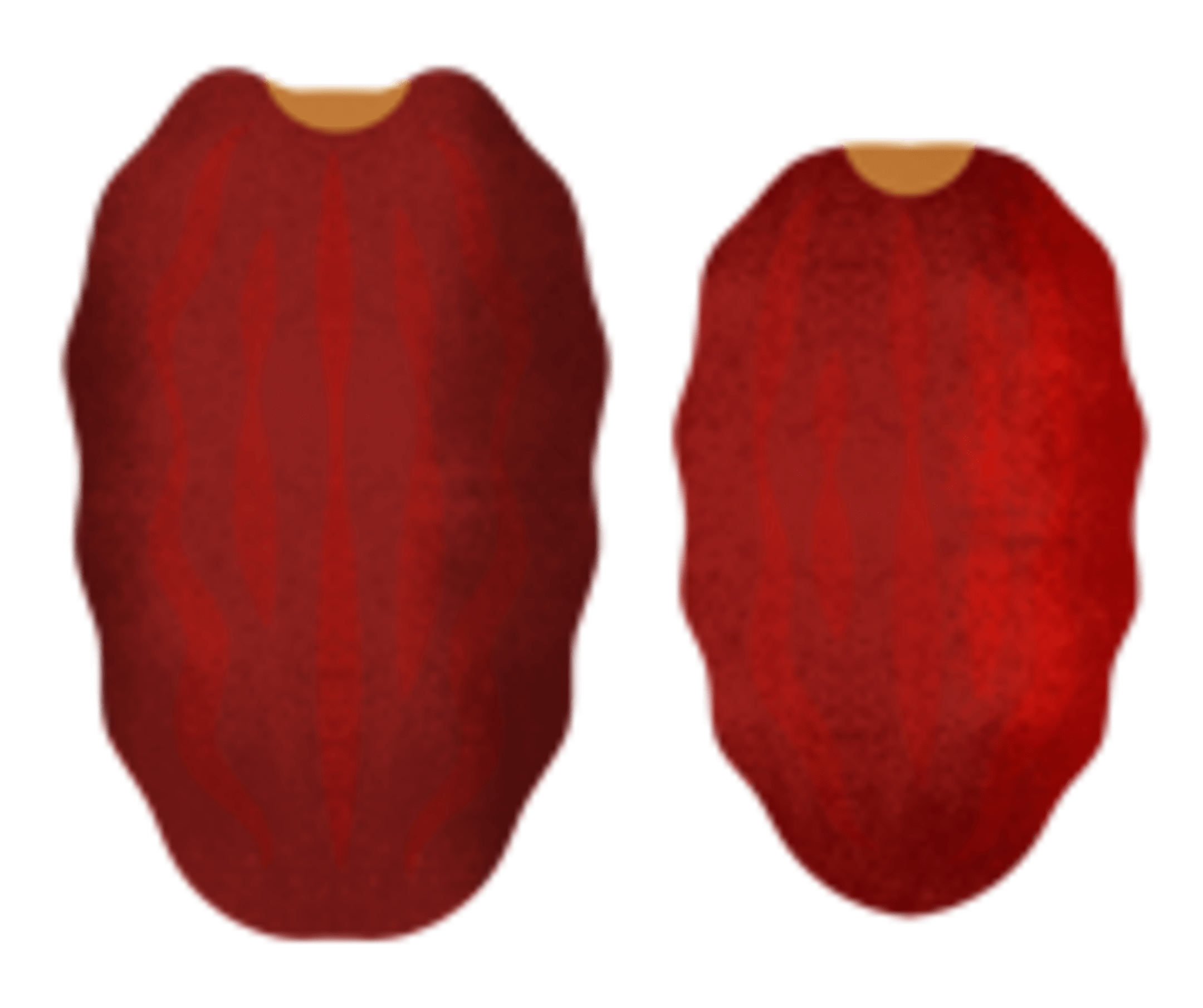 an illustration of dates