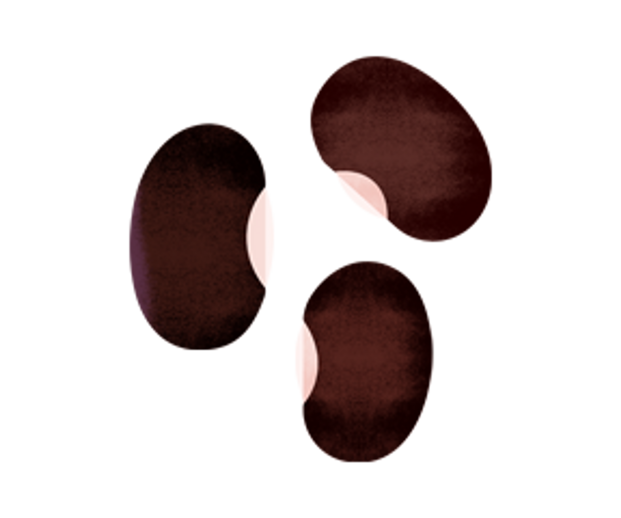 an illustration of black beans