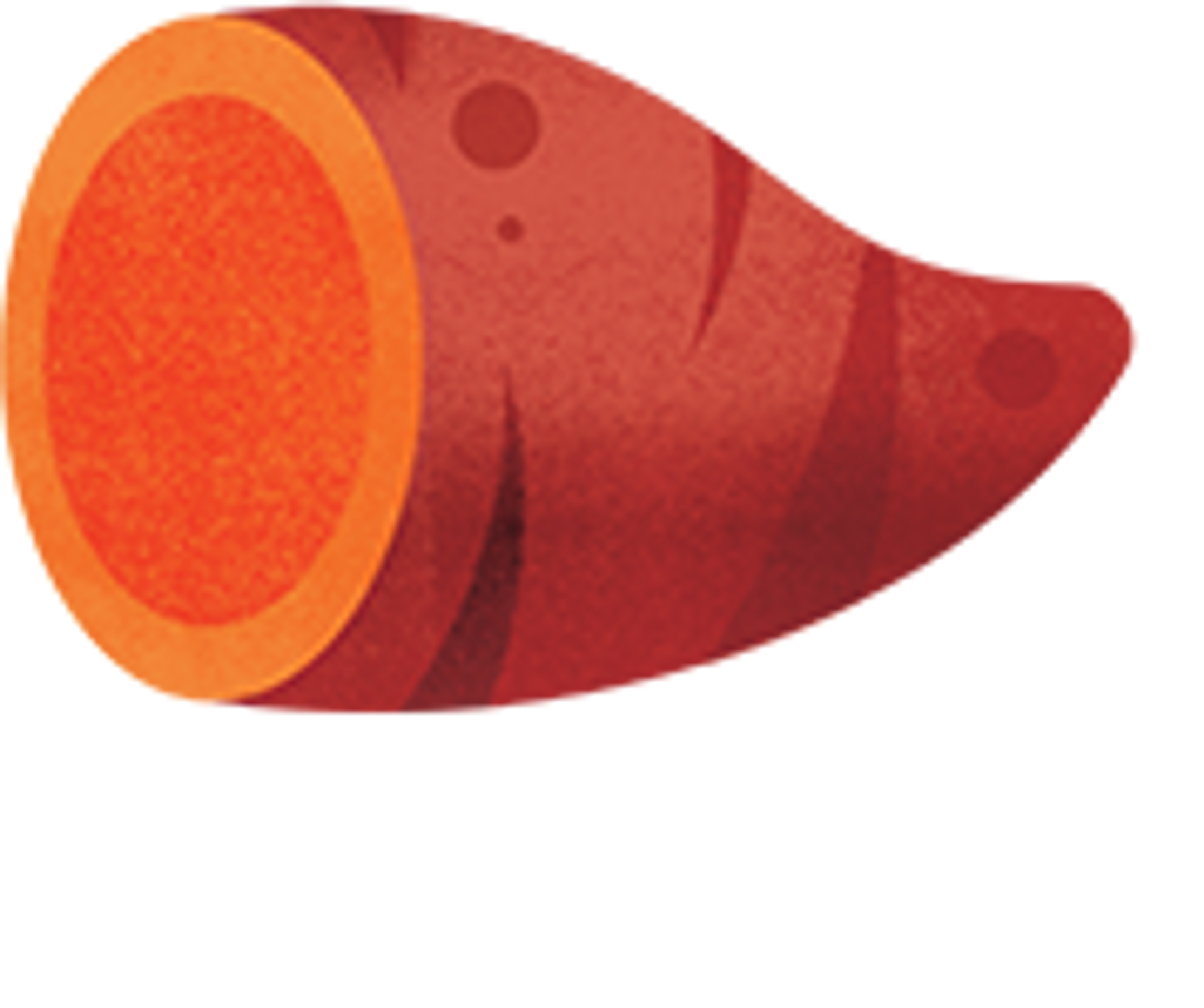 an illustration of sweet potato