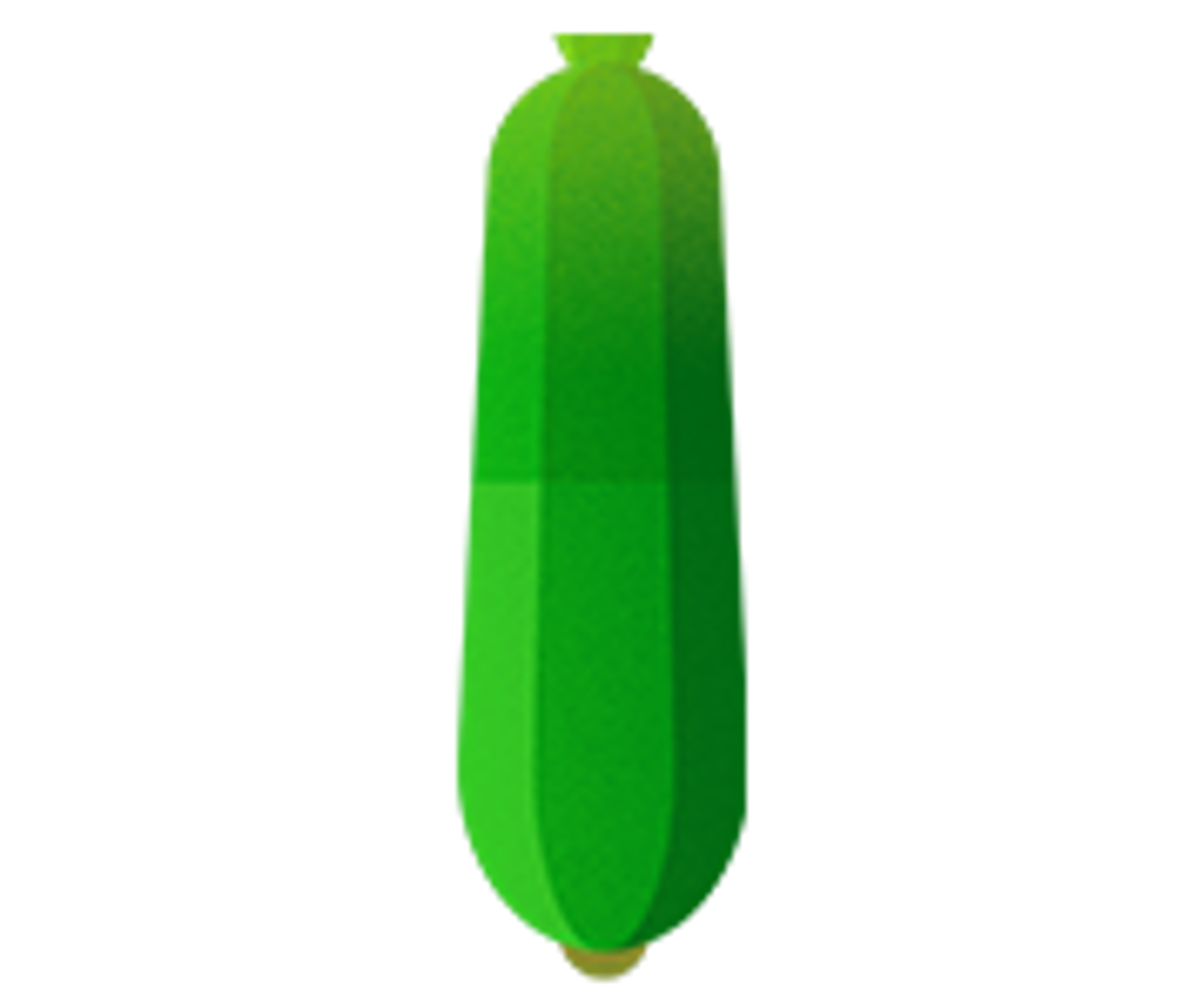 an illustration of zucchini