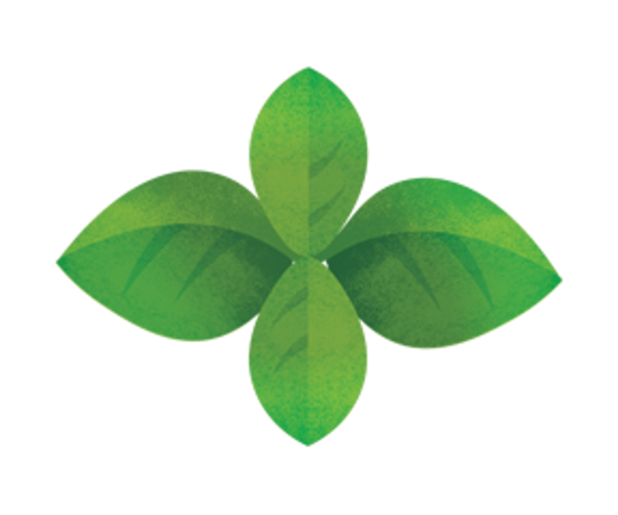an illustration of basil