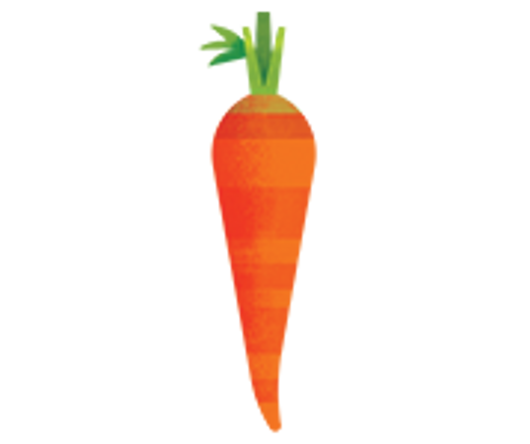 an illustration of a carrot