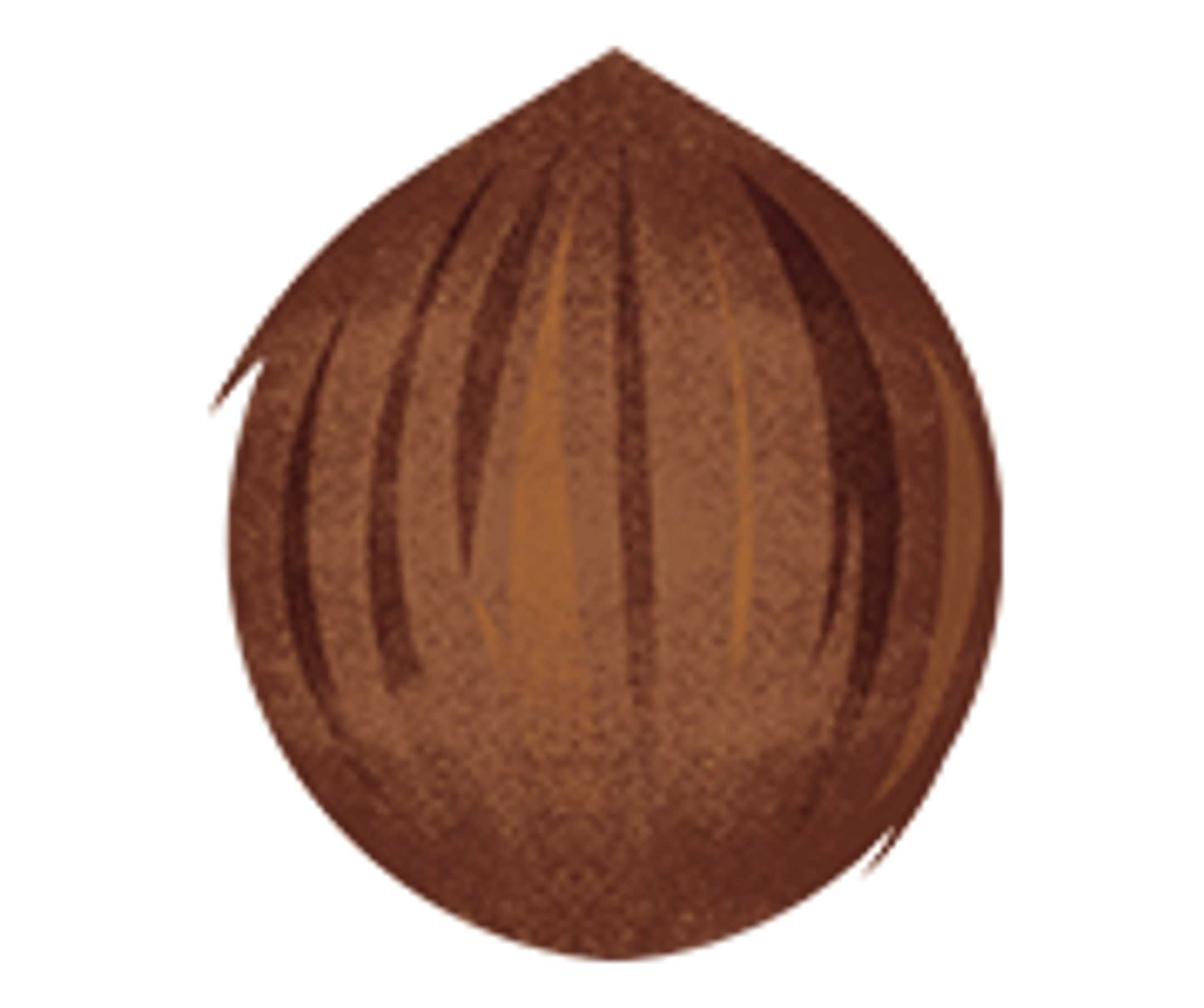 an illustration of coconut