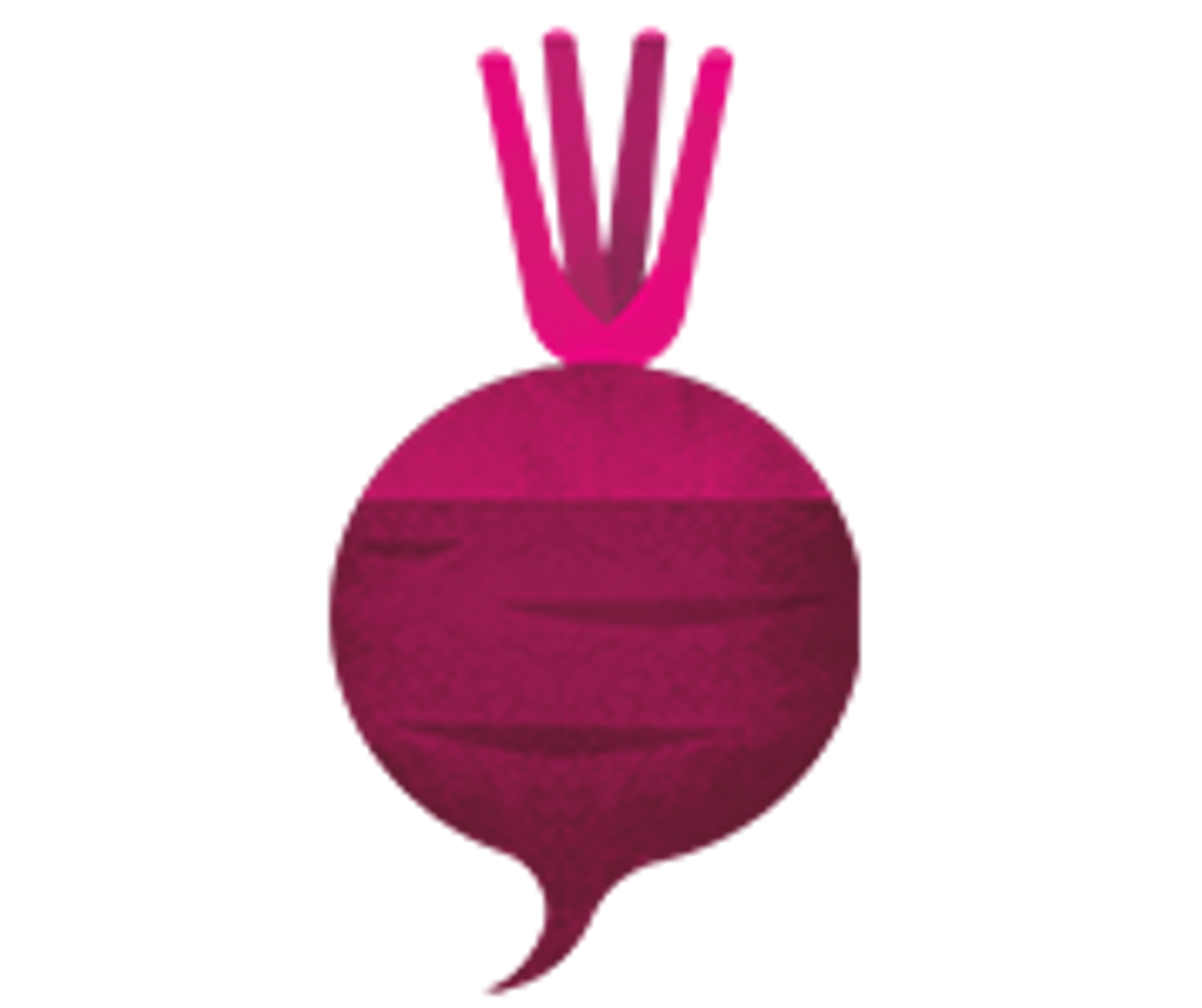 an illustration of a beet
