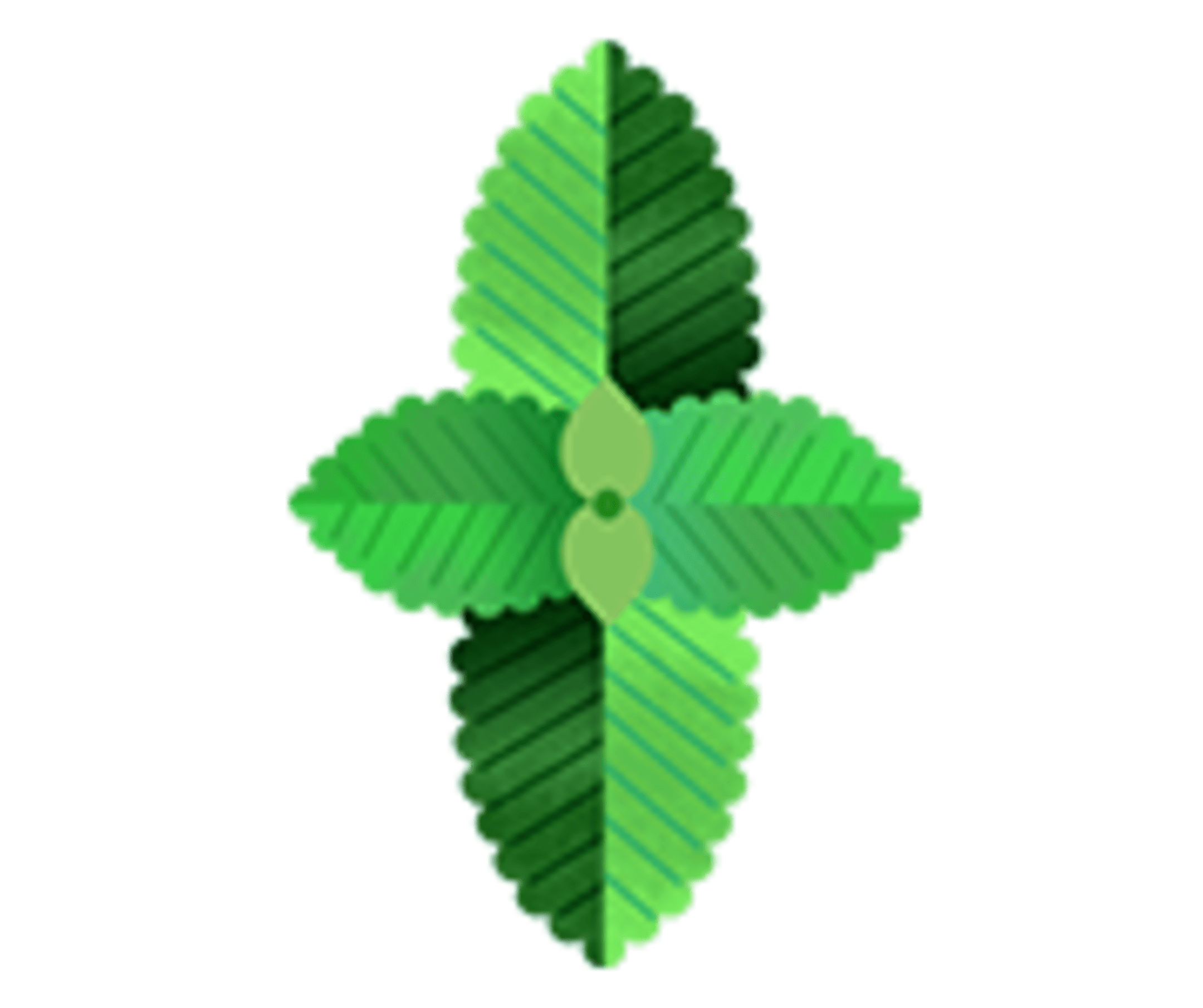 an illustration of mint