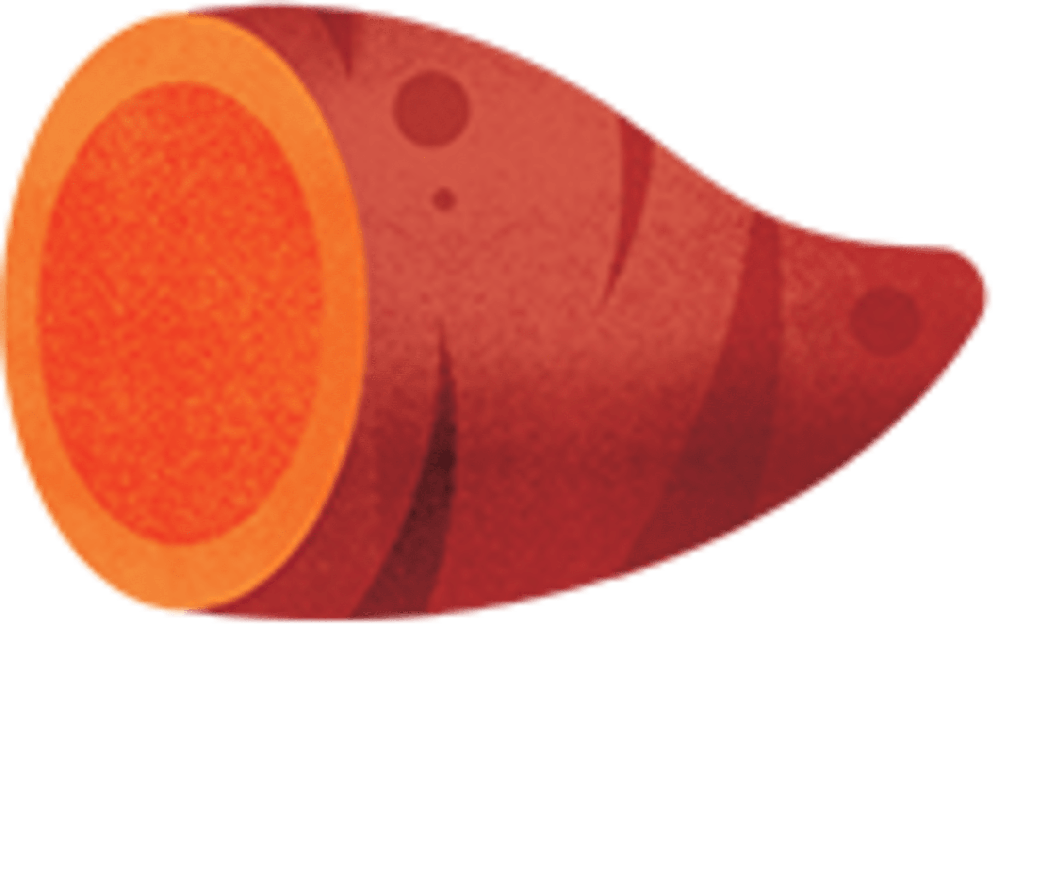 an illustration of a sweet potato