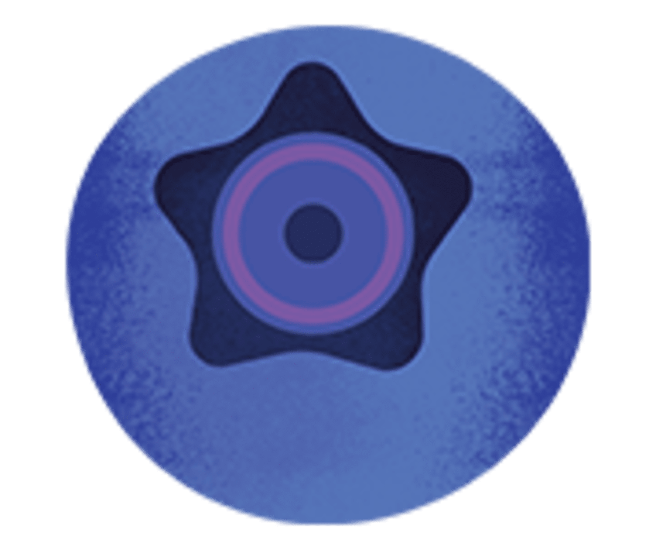 an illustration of a blueberry
