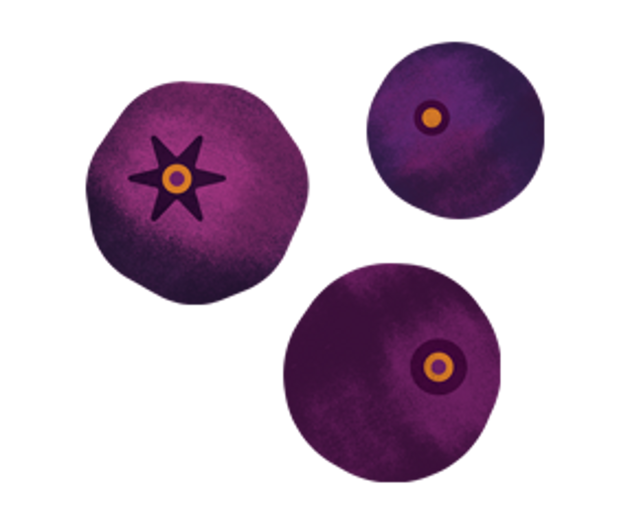 an illustration of acai