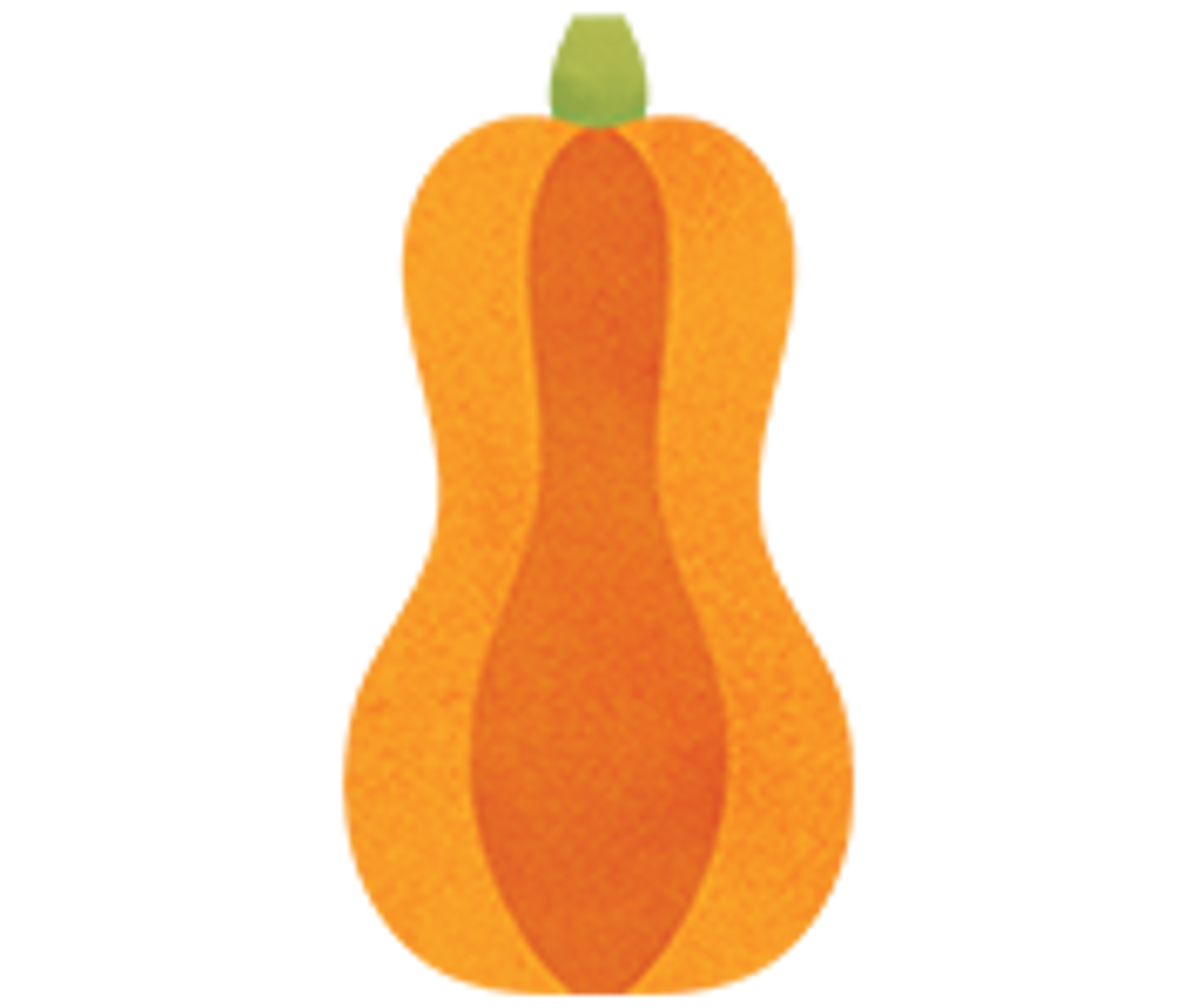Organic Butternut Squash