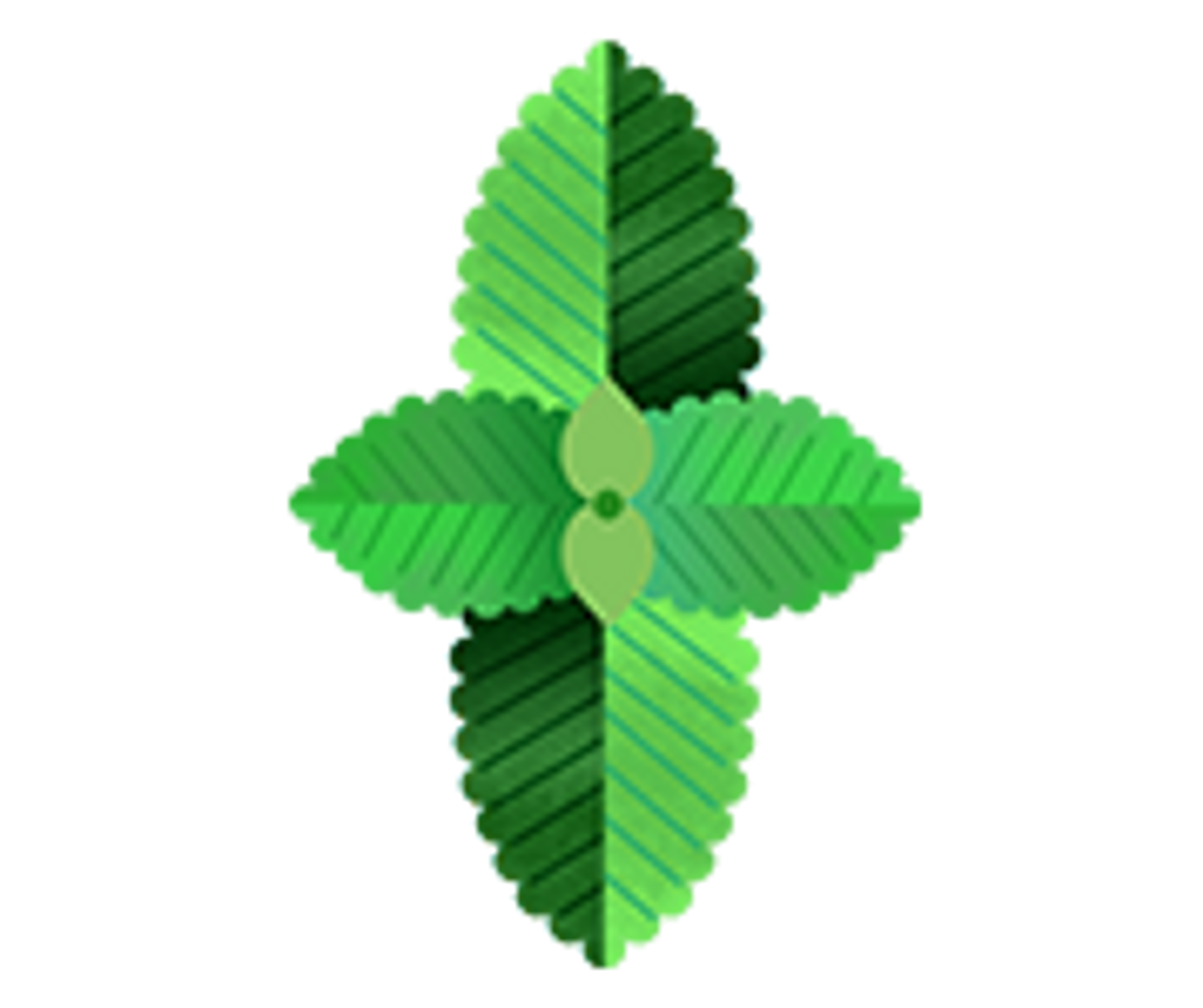 Organic Mint