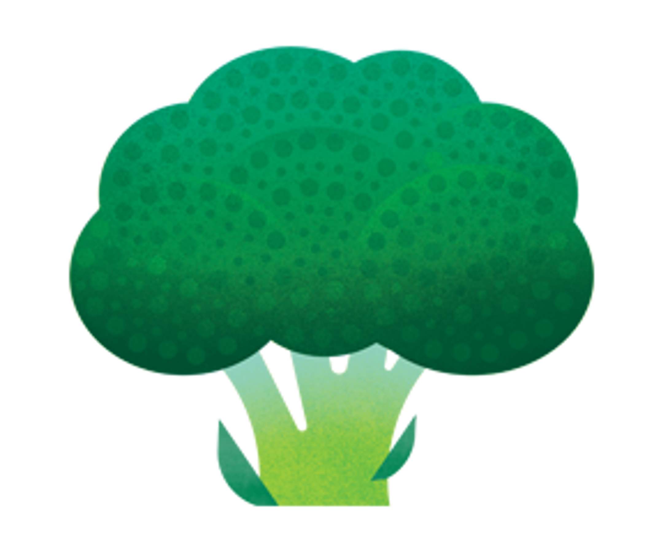 Organic Broccoli