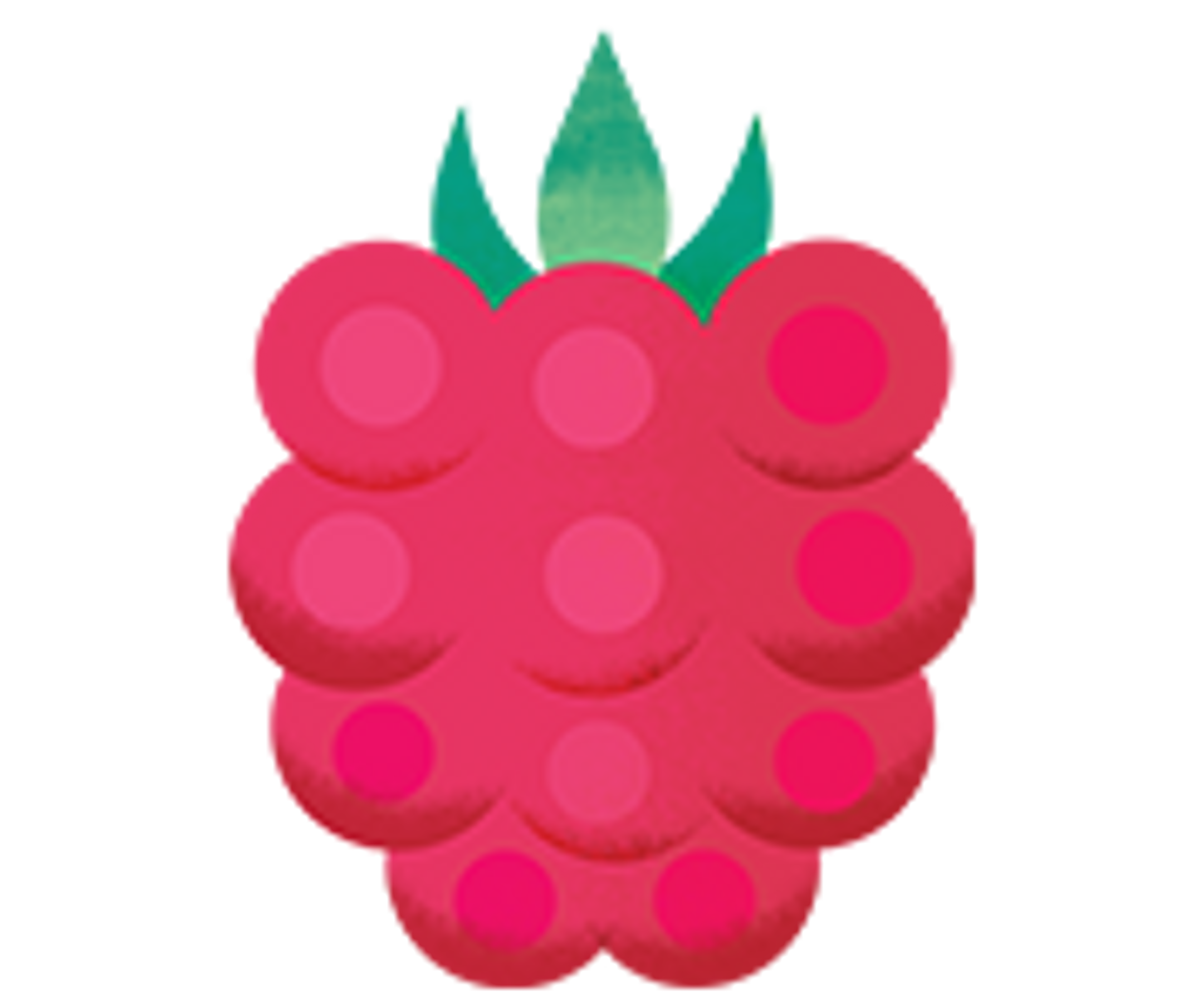 an illustration of a raspberry