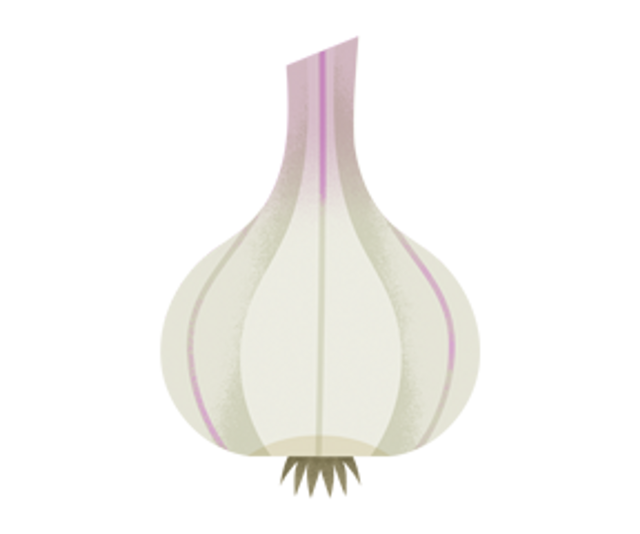 Organic Garlic