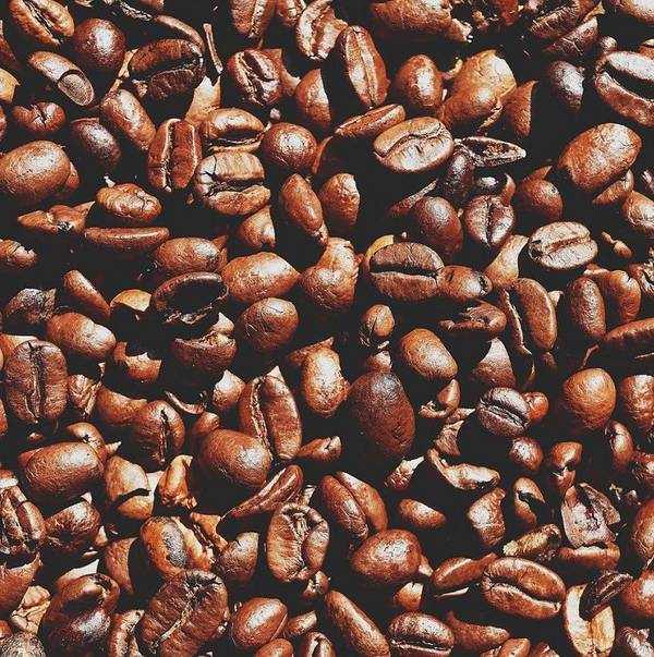 Koffein