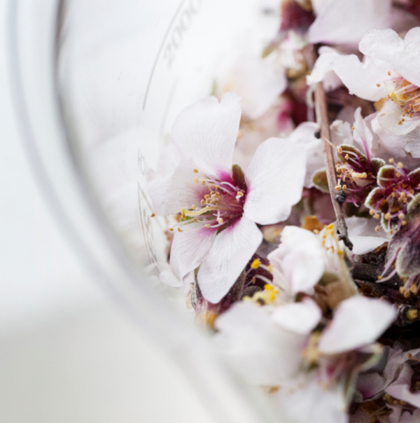 Mandel- und Leinsamenöl