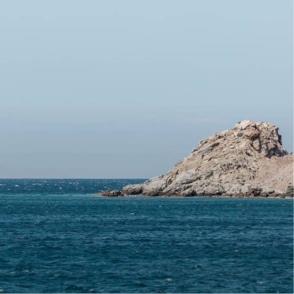 Meeresalgen-Extrakte