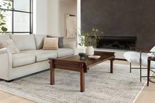 ED Ellen DeGeneres Image