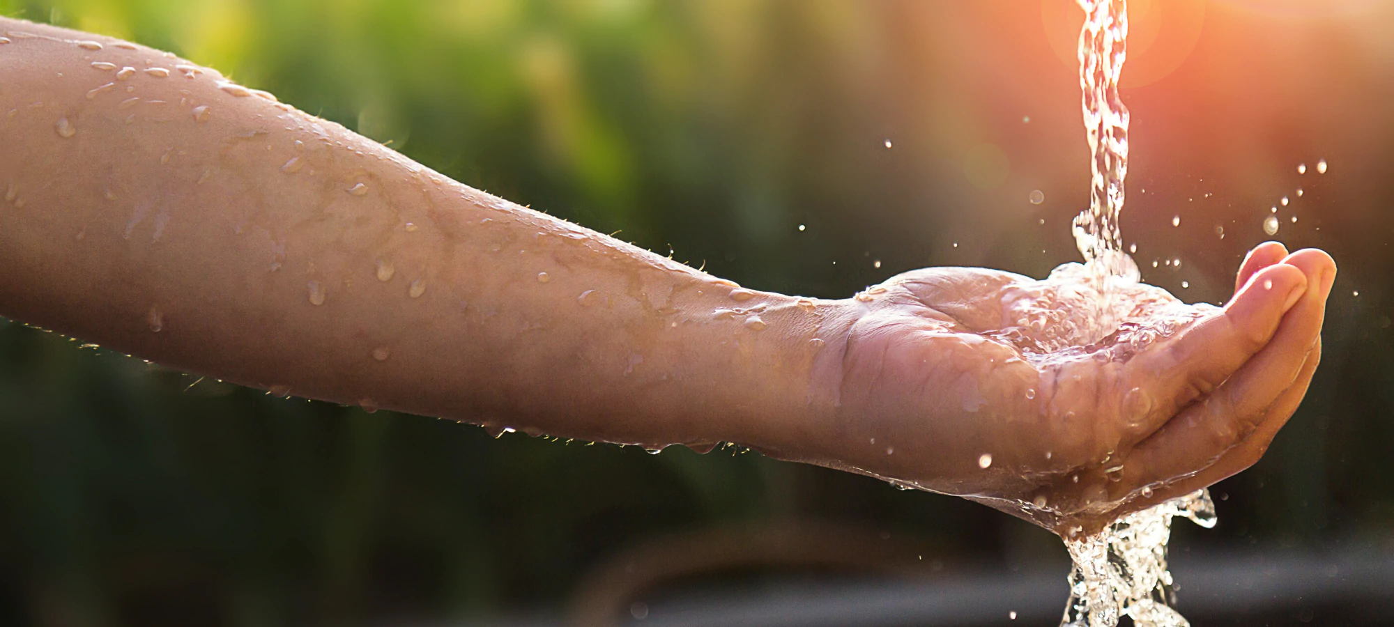 Is Bottled Water Better For You Than Tap Water? zazen Alkaline Water