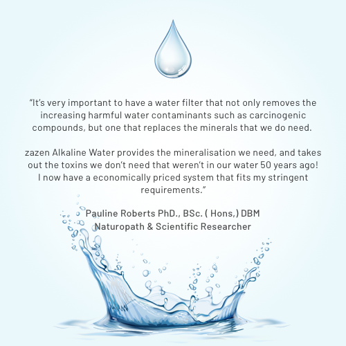 zazen Annual Replacement Pack – zazen Alkaline Water