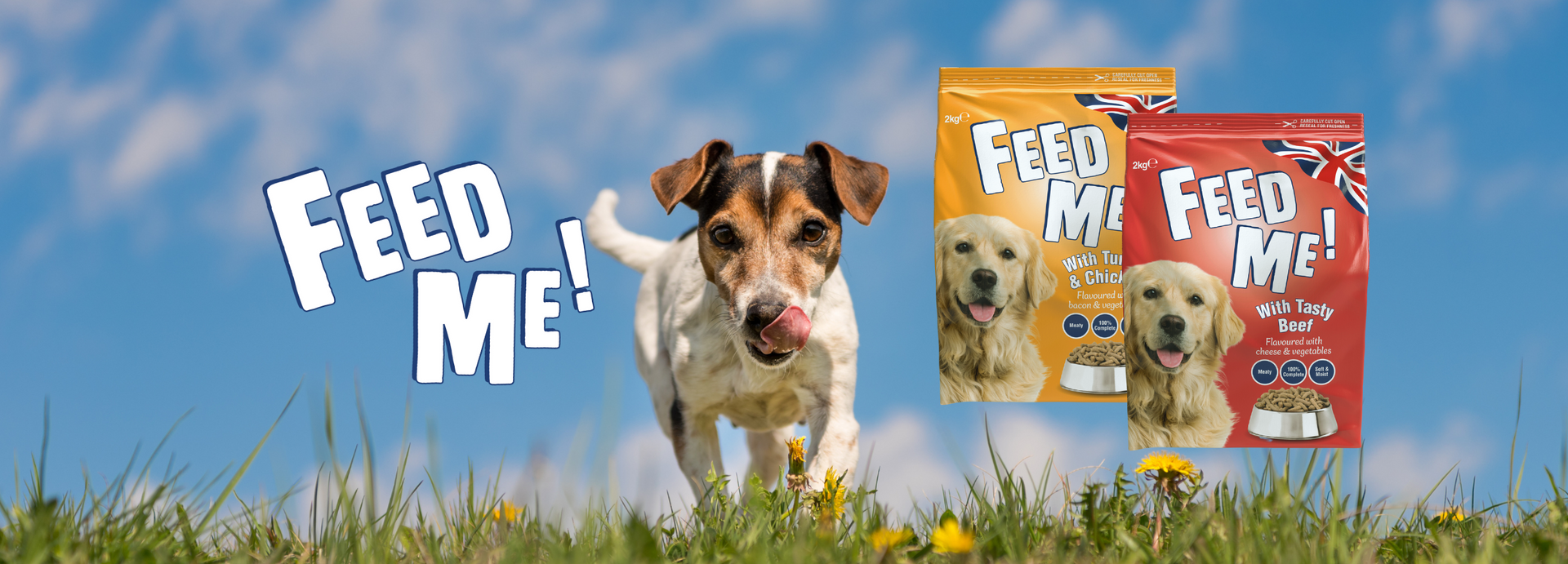 Feed me dog food best sale