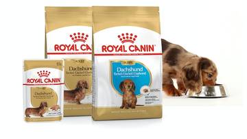 Royal Canin Dachshund Breed Adult Dog Dry Food – Vets Love Pets