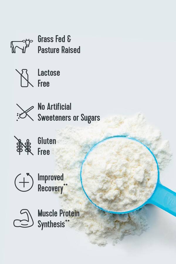 Lactose Free Protein Powder  Vital Performance - Vital Proteins