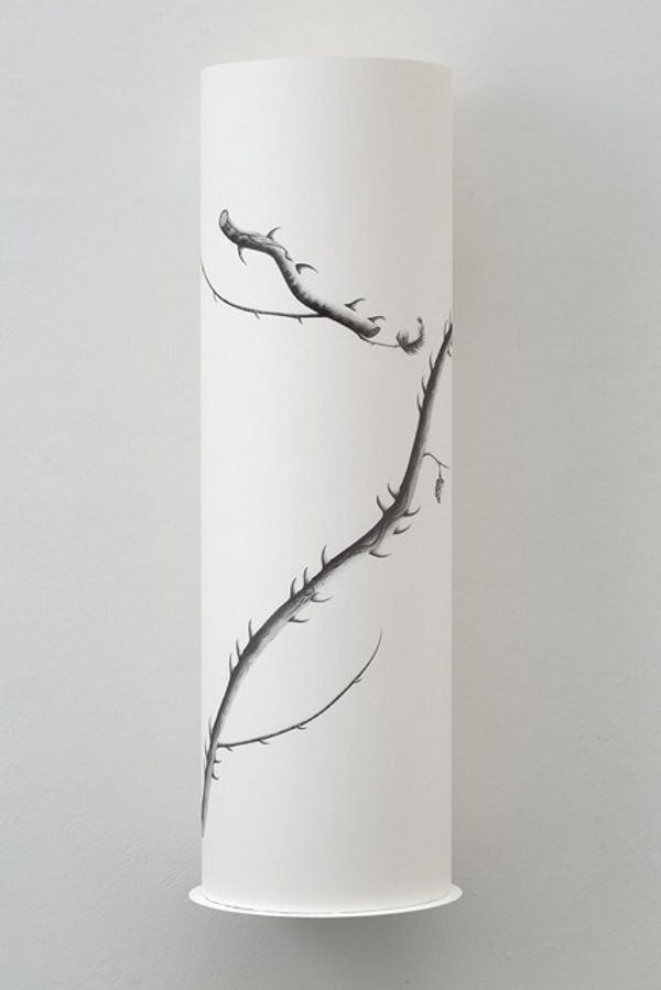 roll of paper with fine line drawing of a branch with thorns