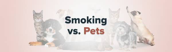 How smoking affects your pet.