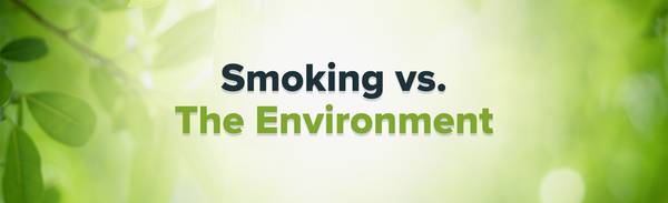 Tobacco industry's affect on the environment.