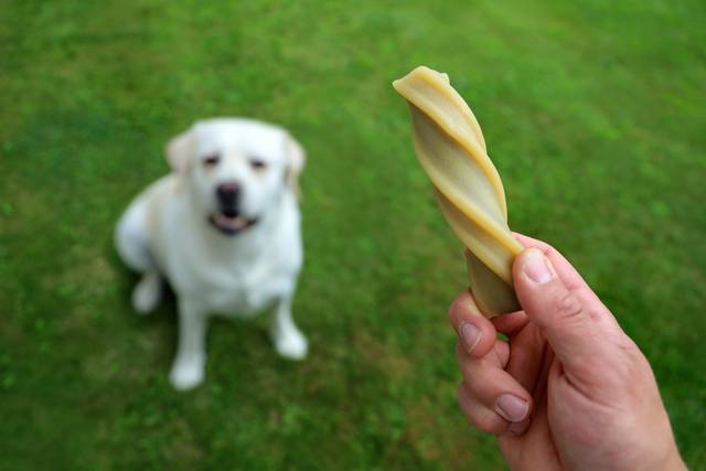 Illustration of Natural Dental Dog Food For Sensitive Mouth