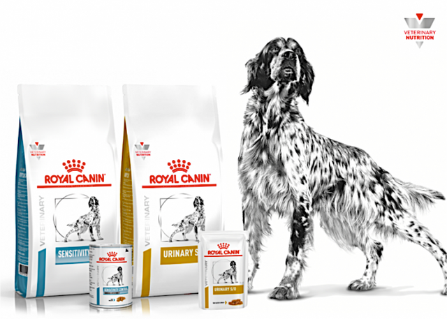 Royal Canin Veterinary Diet Skintopic Dry Dog Food – Vets Love Pets