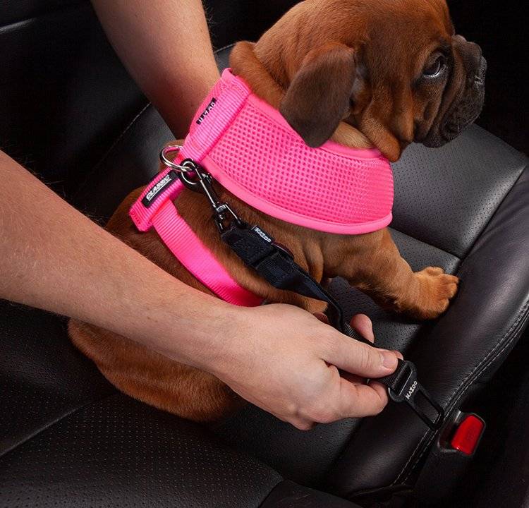 Kazoo Click Clack Seatbelt Connector