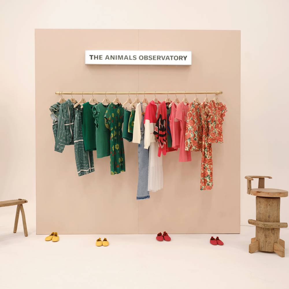 Rooster Kids+ T-Shirt - The Animals Observatory