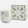 Holiday Candles & Candle Holders