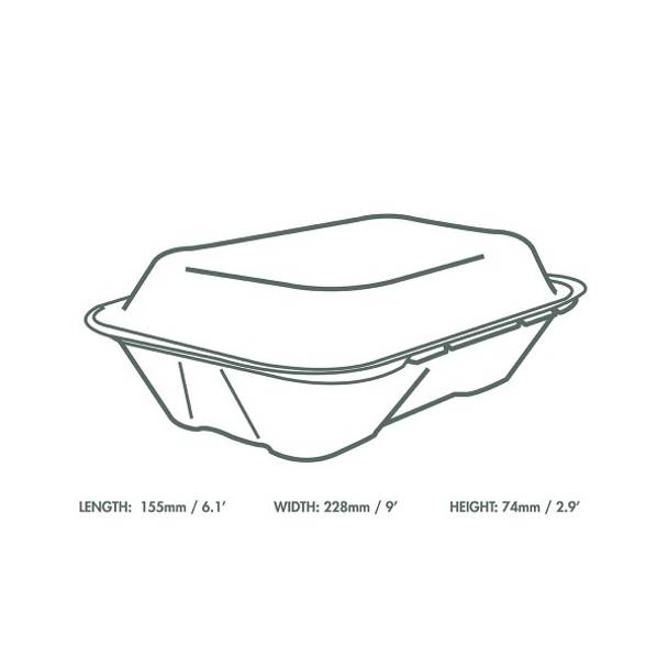 9 x 6 inch Large Bagasse Clamshell - White