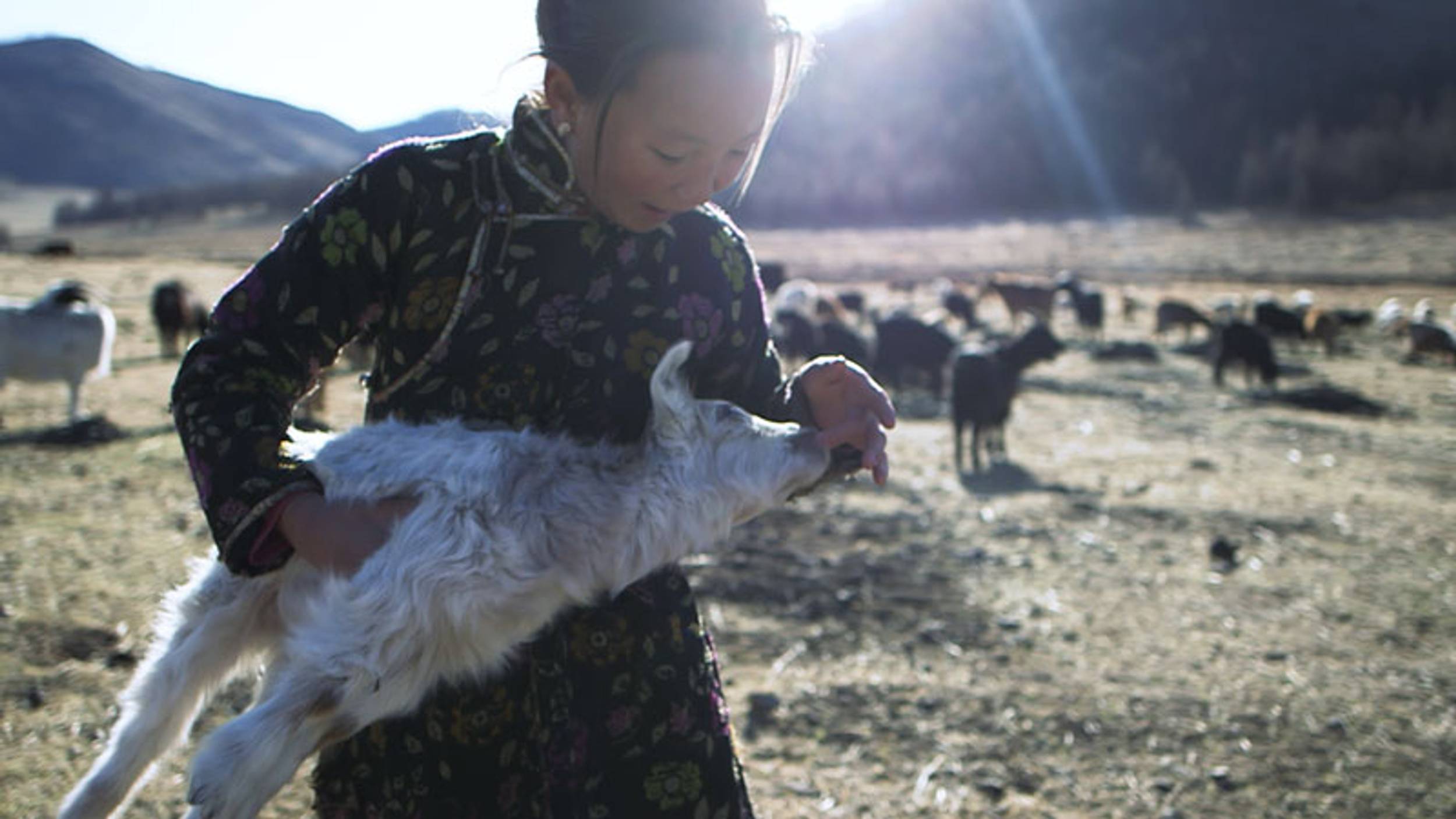 Made in Mongolia : Discover The Origins of N.Peal Cashmere