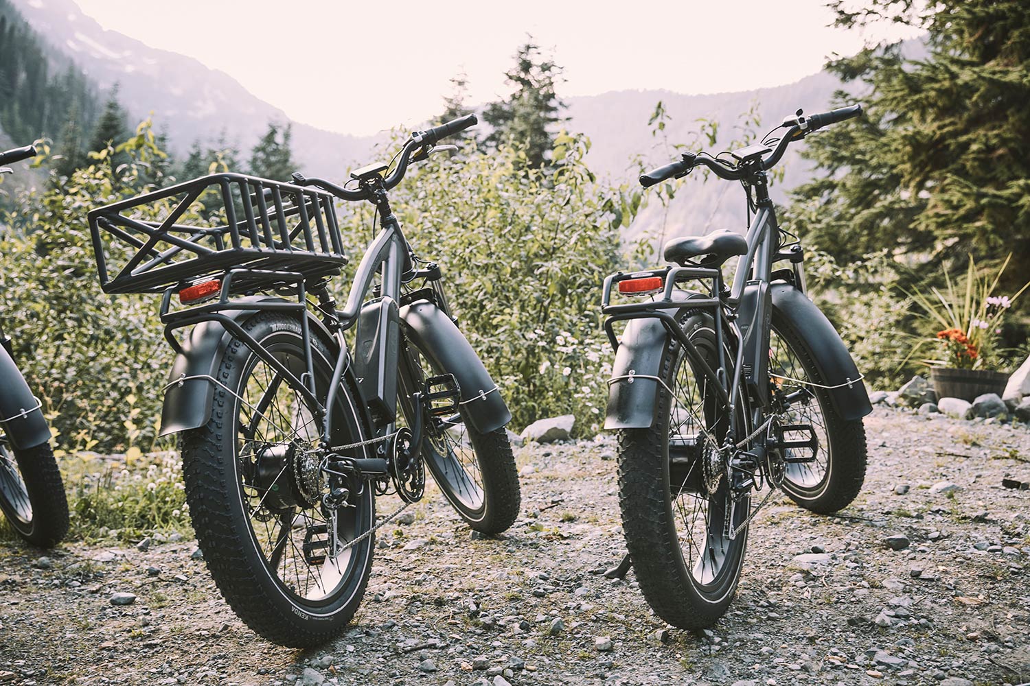 rad electric fat tire bike