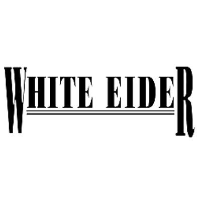 White Eider
