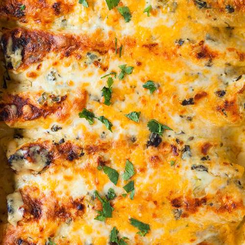 Spinach alfredo chicken enchiladas made with Sonoma Gourmet's spinach alfredo sauce and basil parmesan olive oil