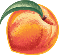 Peach, Nectarine & Quinoa Australian Fruit Puree Multipack