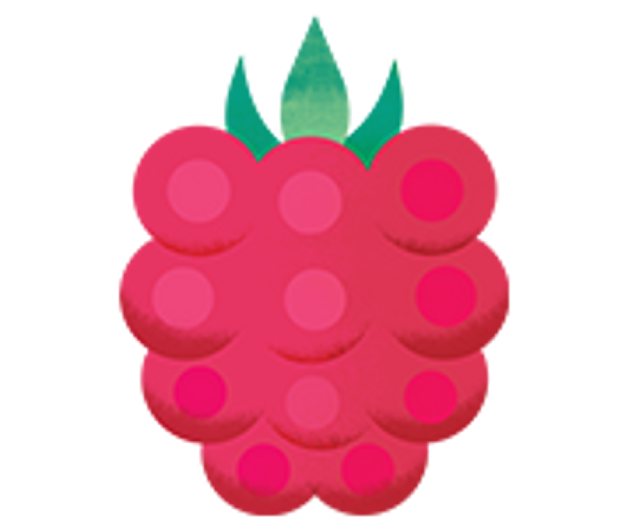 Organic Raspberry Puree