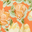 Apricot Painted Floral