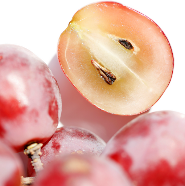 Polyphenole aus roten Weintrauben