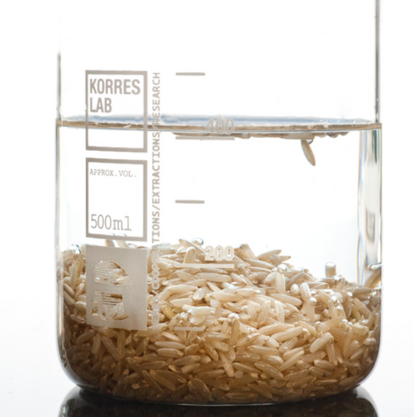 Reis- und Weizenproteine